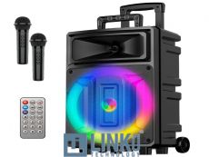 COOL ALTAVOZ MUSICA BLUETOOTH (2MICROFONOS+MANDO)